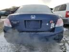 2010 Honda Accord EX