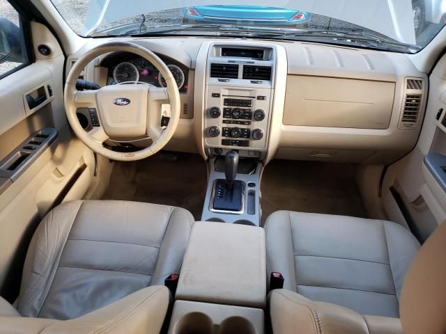 2009 Ford Escape XLT