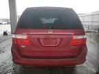 2005 Honda Odyssey EXL