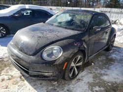 Salvage cars for sale at Seaford, DE auction: 2013 Volkswagen Beetle Turbo