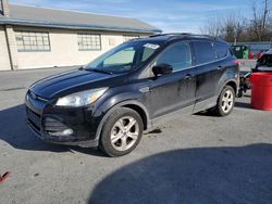 Ford Escape Vehiculos salvage en venta: 2016 Ford Escape SE