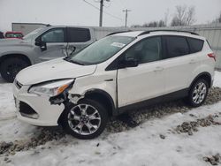 Ford salvage cars for sale: 2014 Ford Escape SE