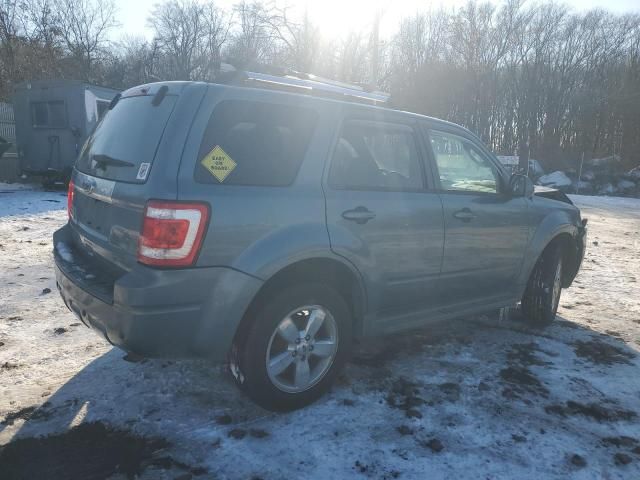 2010 Ford Escape Limited