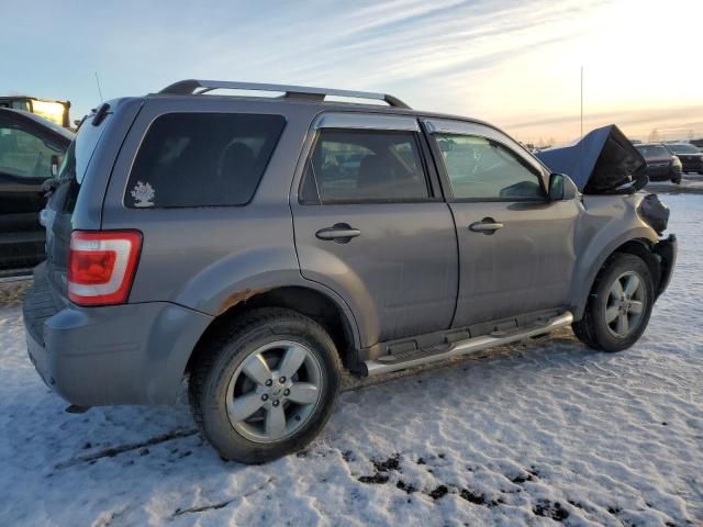 2011 Ford Escape Limited