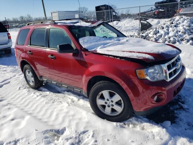 2011 Ford Escape XLT