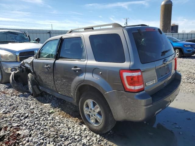 2011 Ford Escape XLT