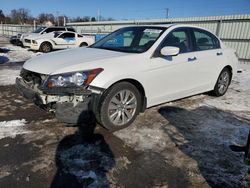 Salvage cars for sale at auction: 2012 Honda Accord EXL