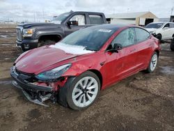 Salvage cars for sale at Brighton, CO auction: 2023 Tesla Model 3