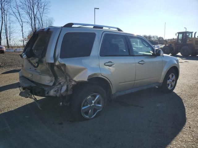 2010 Ford Escape Limited