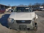 2005 Ford Escape XLT