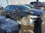 2014 Ford Fusion Titanium HEV