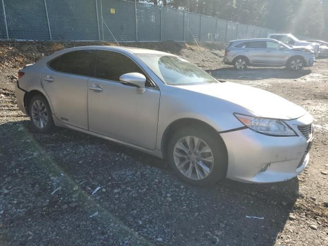 2013 Lexus ES 300H