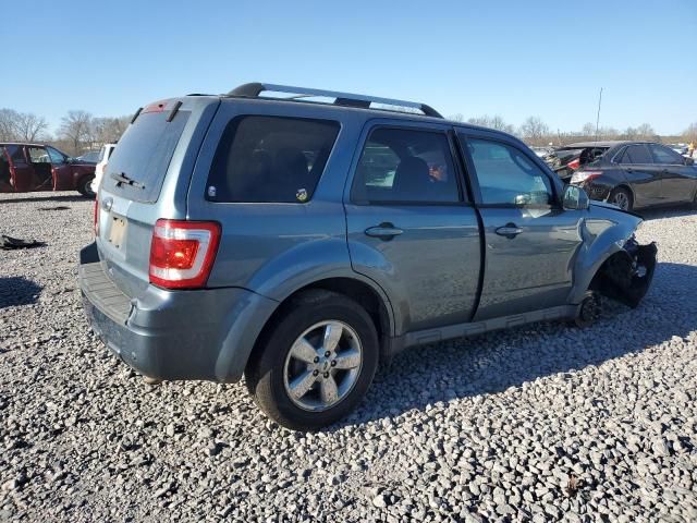 2010 Ford Escape Limited