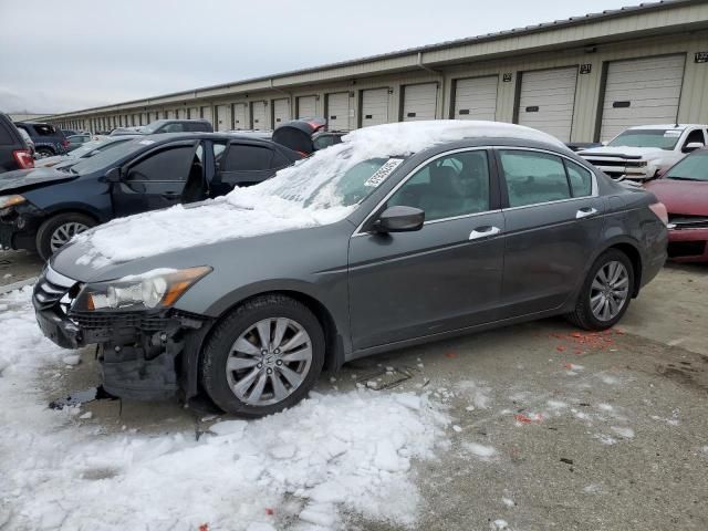 2011 Honda Accord EXL