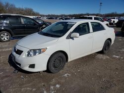 Vehiculos salvage en venta de Copart Oklahoma City, OK: 2010 Toyota Corolla Base