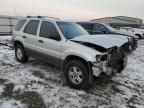 2007 Ford Escape XLS