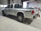 2004 Dodge Dakota Sport