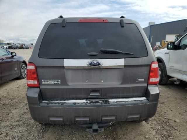 2011 Ford Escape Limited