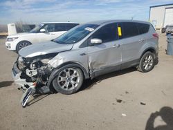 Salvage cars for sale at Albuquerque, NM auction: 2013 Ford Escape SEL