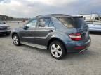 2011 Mercury 2011 MERCEDES-BENZ ML 350