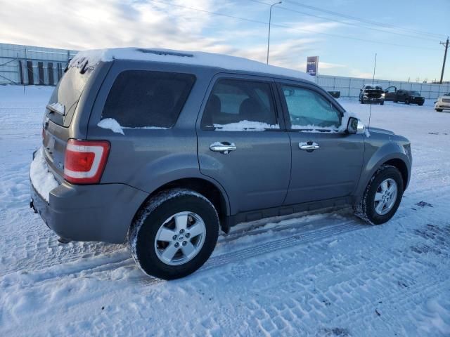 2011 Ford Escape XLT