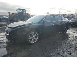 Nissan Maxima salvage cars for sale: 2012 Nissan Maxima S