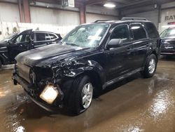 Salvage cars for sale at Elgin, IL auction: 2010 Ford Escape XLT