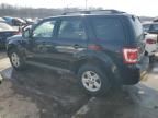 2008 Ford Escape Limited