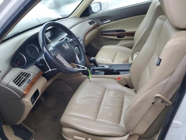 2010 Honda Accord EXL