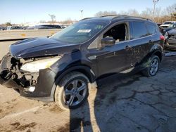 Salvage cars for sale from Copart Cleveland: 2013 Ford Escape SE