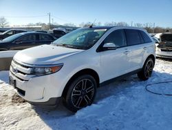 Salvage cars for sale at Louisville, KY auction: 2013 Ford Edge SEL