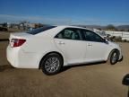 2013 Toyota Camry Hybrid