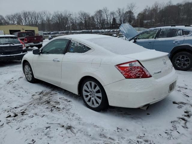 2009 Honda Accord EXL