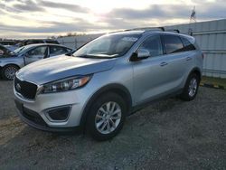 KIA Sorento lx salvage cars for sale: 2016 KIA Sorento LX