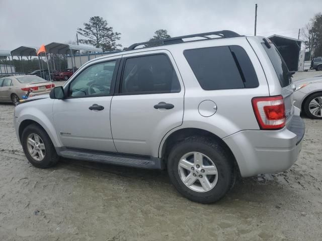 2009 Ford Escape Hybrid