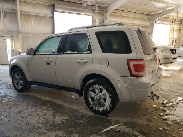 2011 Ford Escape Limited