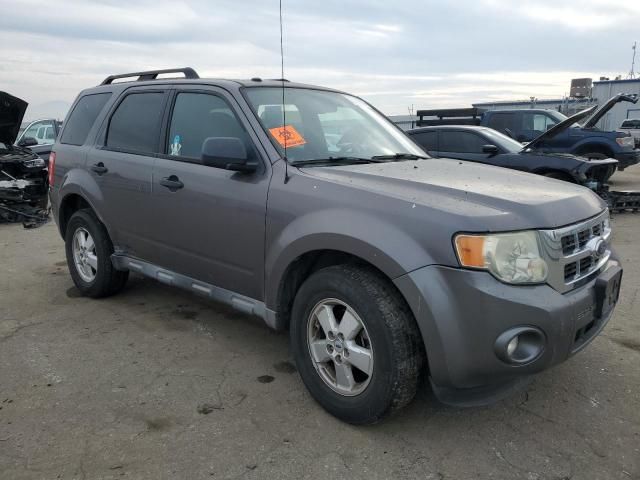 2010 Ford Escape XLT