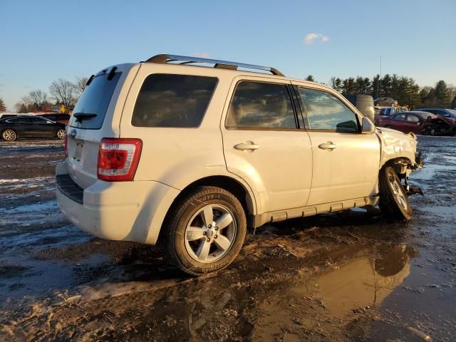 2010 Ford Escape Limited