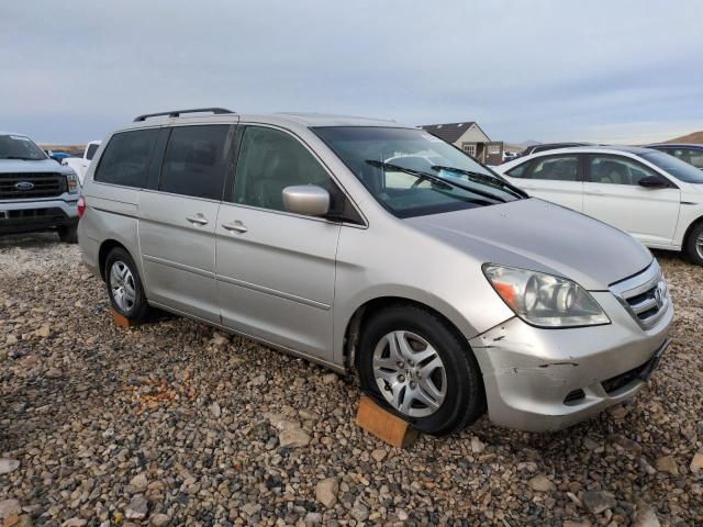 2005 Honda Odyssey EXL