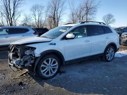 Salvage cars for sale at Cicero, IN auction: 2012 Mazda CX-9