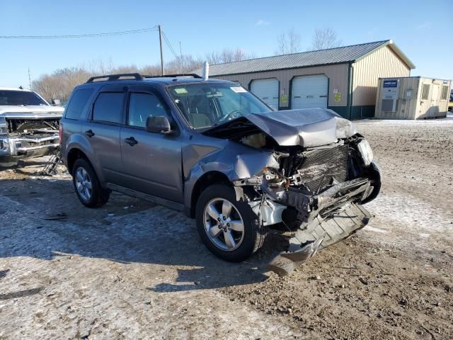 2009 Ford Escape XLT