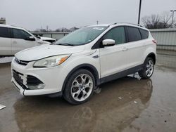 Salvage Cars with No Bids Yet For Sale at auction: 2015 Ford Escape Titanium