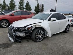 Salvage cars for sale from Copart Rancho Cucamonga, CA: 2019 Lexus IS 300