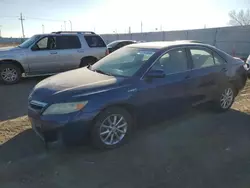 Toyota Camry Hybrid salvage cars for sale: 2010 Toyota Camry Hybrid