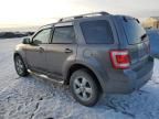 2011 Ford Escape Limited