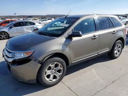 2014 Ford Edge SEL en venta en Grand Prairie, TX