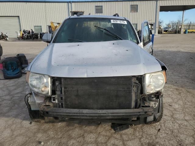 2009 Ford Escape Limited