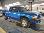 2001 Dodge Dakota