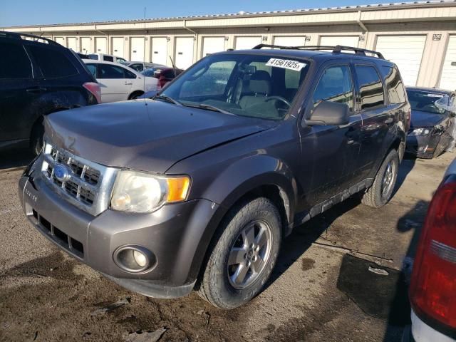 2011 Ford Escape XLT