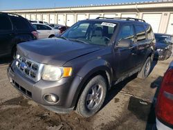 Salvage cars for sale at auction: 2011 Ford Escape XLT